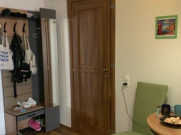 She came over to just fuck