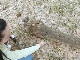 Amateur brunette girl sucking a dick outdoors